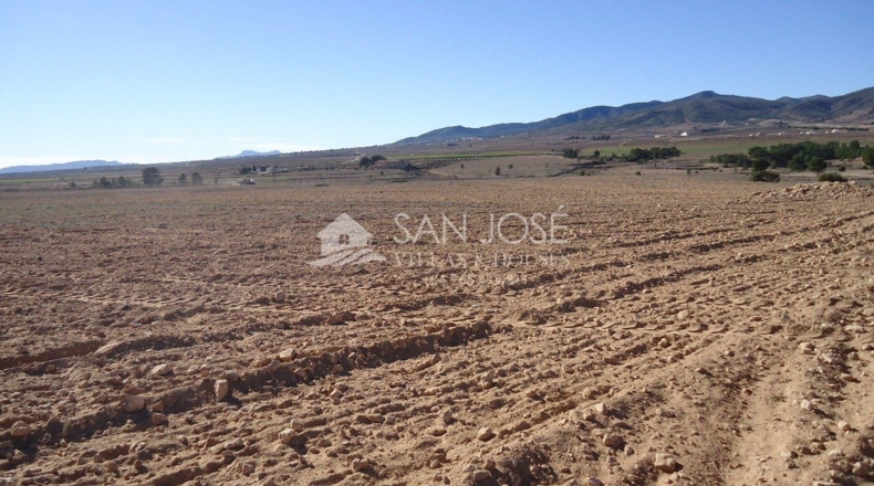 Murcia - Yecla - 408000m2