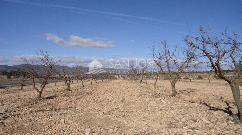 Murcia - Yecla - 408000m2