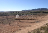 Finca rústica en venta en la España, Yecla, ref: TR3037 foto
