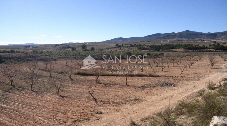Murcia - Yecla - 408000m2