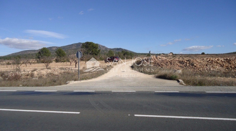 Murcia - Yecla - 408000m2