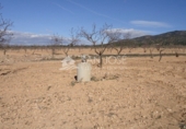 Finca rústica en venta en la España, Yecla, ref: TR3037 foto