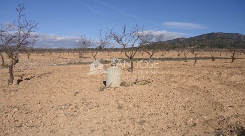 Murcia - Yecla - 408000m2