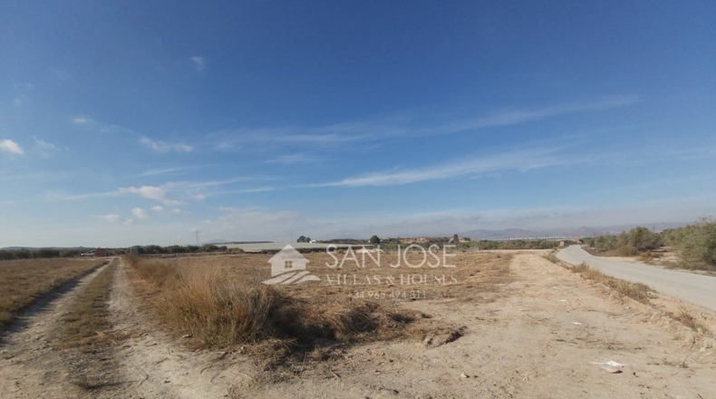 Alicante - La Cruz - 24053m2