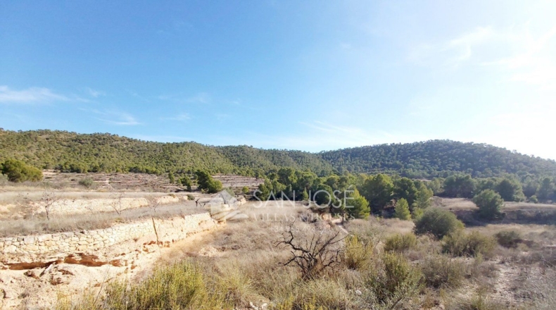 Alicante - La Romaneta - 11094m2