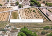 Finca rústica en venta en la España, Pinoso, ref: TR7240 foto