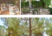 Finca rústica en venta en la España, Pinoso, ref: TR7240 foto