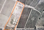 Terreny no urbanitzable en venda a la España, Novelda, ref.: TR32599 foto