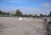 Parcel·la urbanitzable en venda a la España, Elx, ref.: TR2849 foto