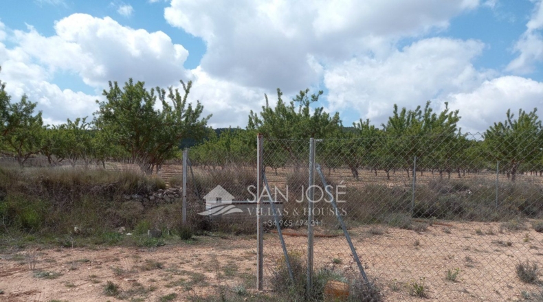 Alicante - El Culebrón - 11.188m2