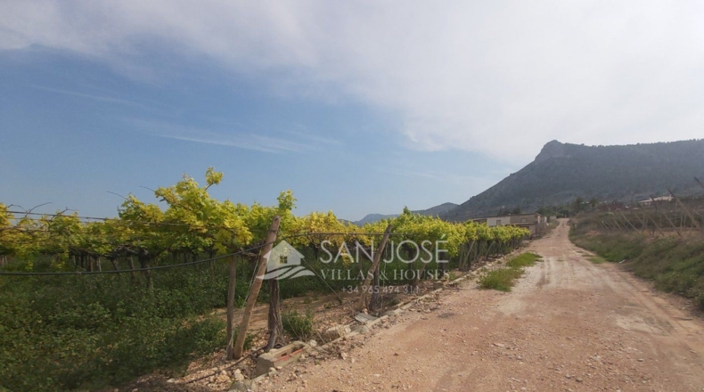 Alicante - La Columna - 15098m2