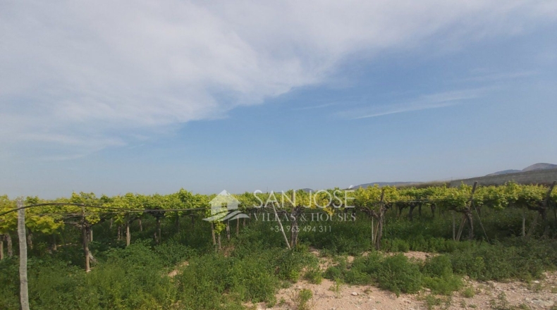 Alicante - La Columna - 15098m2