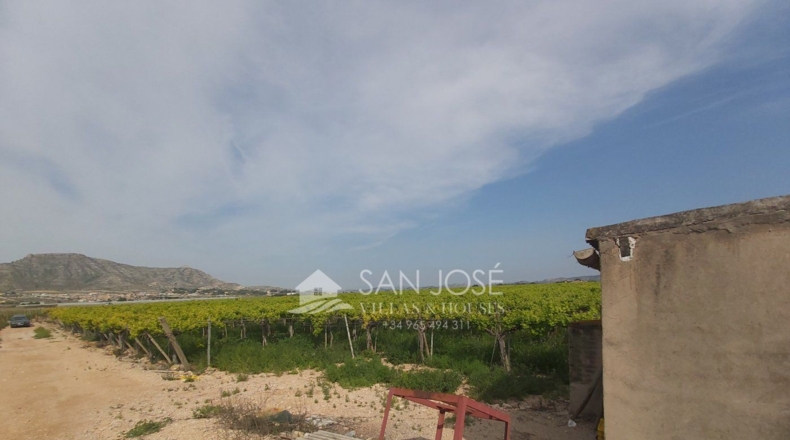 Alicante - La Columna - 15098m2
