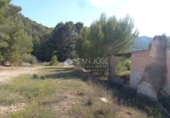 Casa solar amb terreny en venda a la España, Monòver, ref.: TR36415 foto