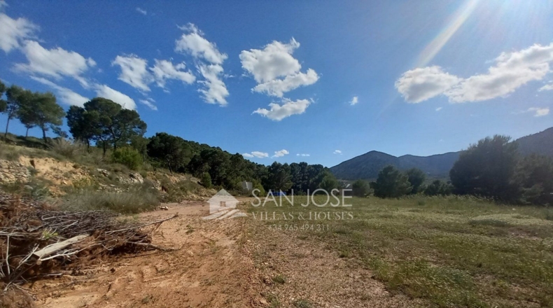 Alicante - la Romana - 6721m2