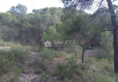 Casa solar amb terreny en venda a la España, Monòver, ref.: TR36415 foto