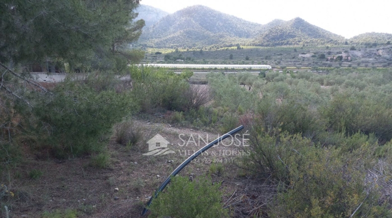 Alicante - la Romana - 6721m2