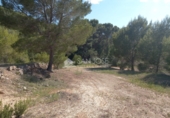 Casa solar amb terreny en venda a la España, Monòver, ref.: TR36415 foto
