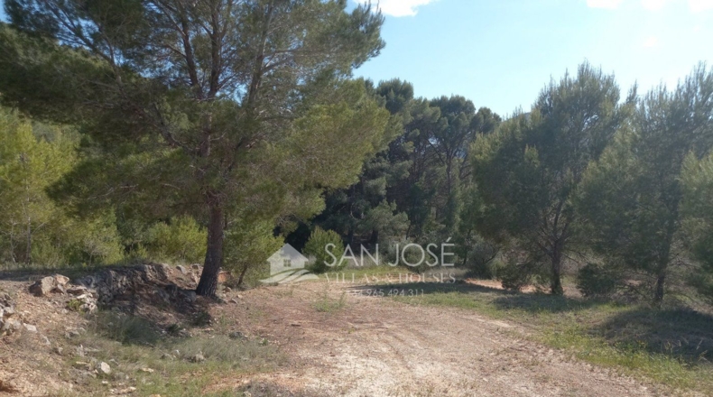Alicante - la Romana - 6721m2