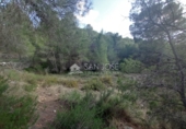 Casa solar amb terreny en venda a la España, Monòver, ref.: TR36415 foto