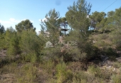 Casa solar amb terreny en venda a la España, Monòver, ref.: TR36415 foto