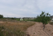 Terreny no urbanitzable en venda a la España, Monòver, ref.: TR32592 foto