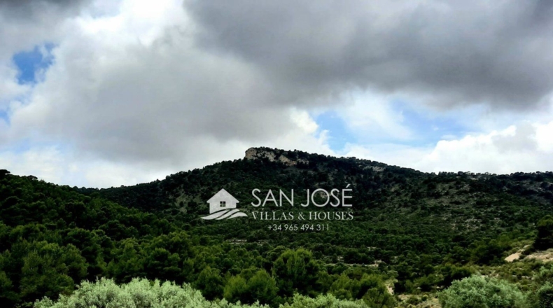 Alicante - Monóvar - 372.723m2