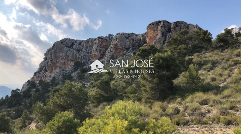 Alicante - Monóvar - 372.723m2