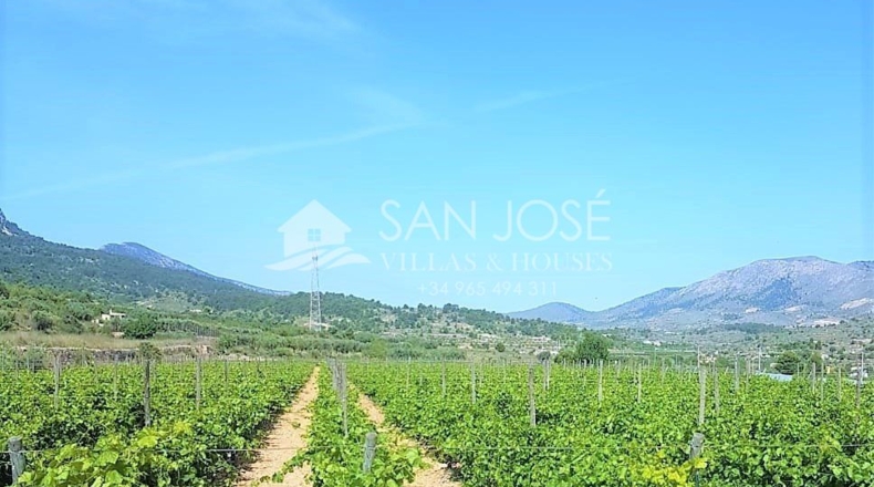 Alicante - La Romaneta - 11000m2
