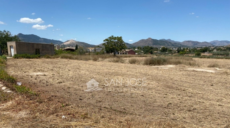 Alicante - Aspe - 14386m2