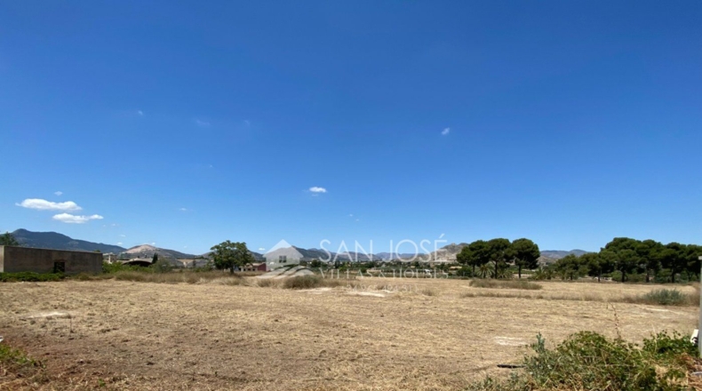 Alicante - Aspe - 14386m2