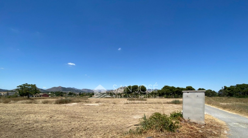 Alicante - Aspe - 14386m2