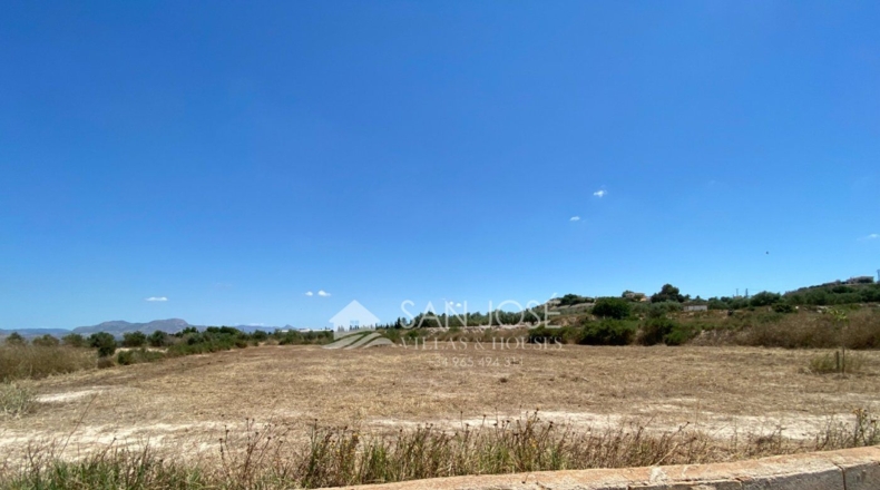 Alicante - Aspe - 14386m2