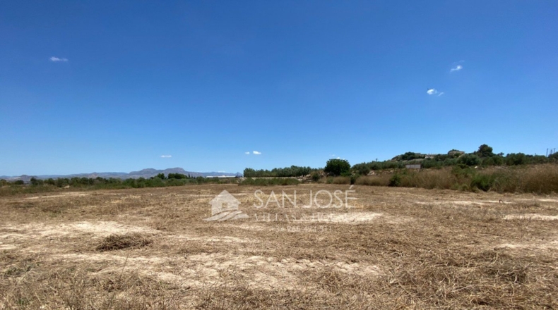 Alicante - Aspe - 14386m2
