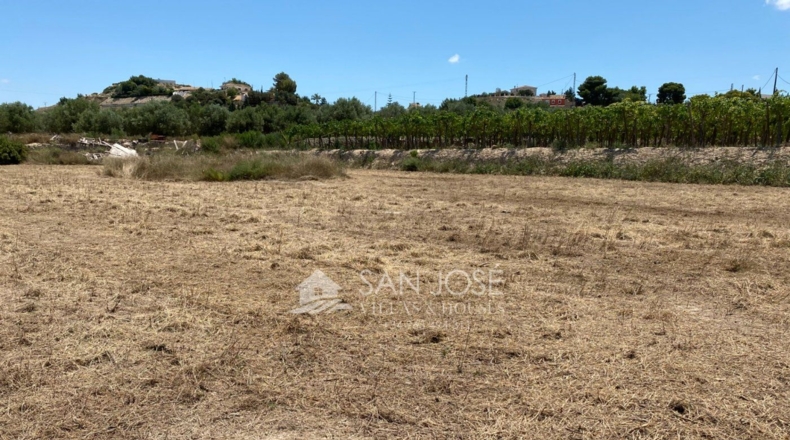 Alicante - Aspe - 14386m2