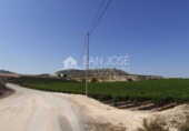 Non-developable land for sale on España, Novelda, ref: TR32590 photo