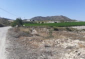 Non-developable land for sale on España, Novelda, ref: TR32590 photo