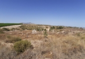 Non-developable land for sale on España, Novelda, ref: TR32590 photo