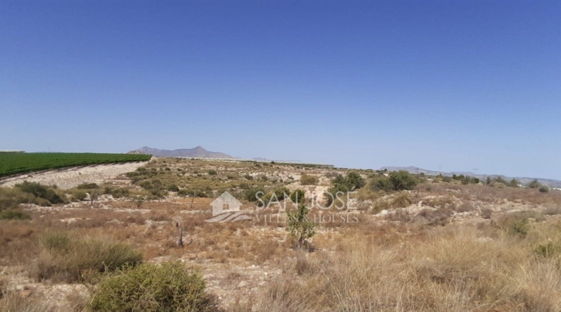 Alicante - La Cruz - 34181m2