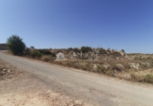 Non-developable land for sale on España, Novelda, ref: TR32590 photo