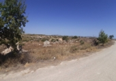 Non-developable land for sale on España, Novelda, ref: TR32590 photo