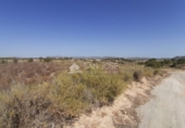 Non-developable land for sale on España, Novelda, ref: TR32590 photo
