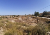 Non-developable land for sale on España, Novelda, ref: TR32590 photo