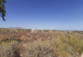 Non-developable land for sale on España, Novelda, ref: TR32590 photo