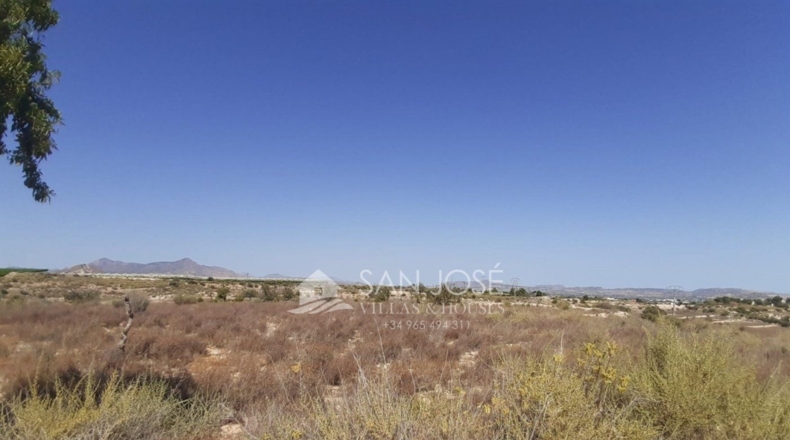Alicante - La Cruz - 34181m2