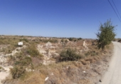 Non-developable land for sale on España, Novelda, ref: TR32590 photo