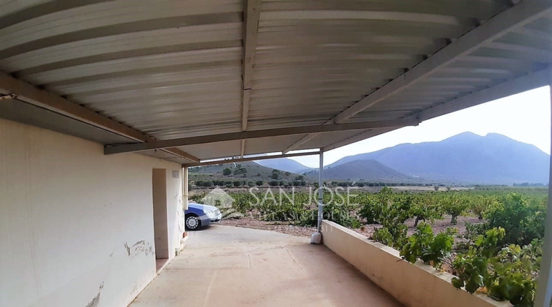 Murcia - Cañada de la Leña - 40000m2