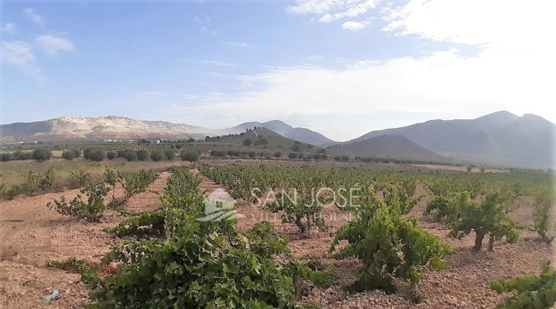 Murcia - Cañada de la Leña - 40000m2