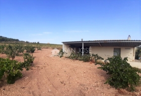 Favanella 40000&nbsp;m² 