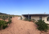 Parcel·la urbanitzable en venda a la España, Favanella, ref.: TR33003 foto